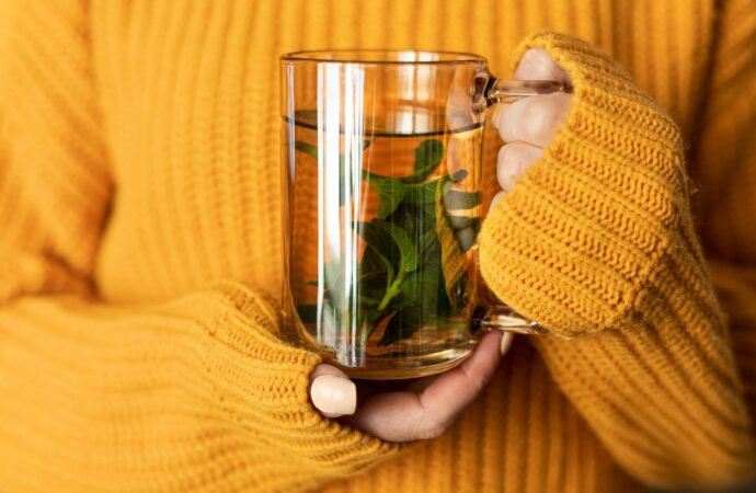 Najpopularniejsze zioła, które leczą. Co warto mieć w domowej apteczce?